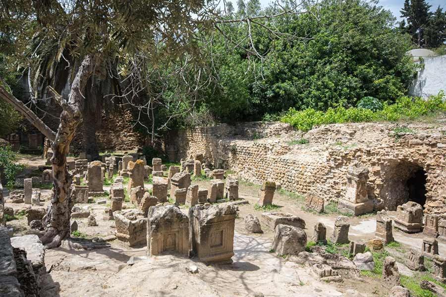 Dar Mayya ラ・マルサ エクステリア 写真